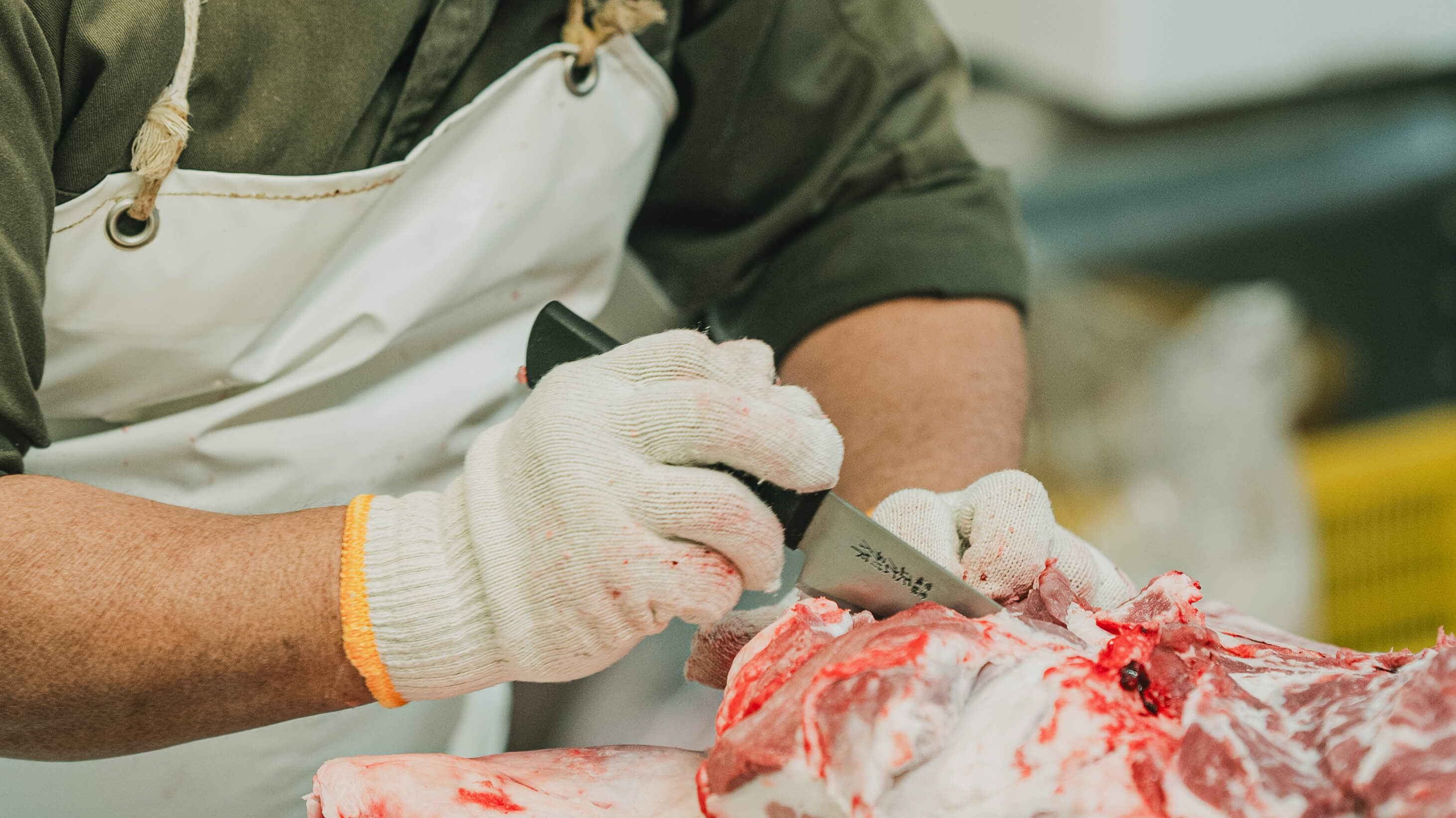 畑で手を動かす人の手元