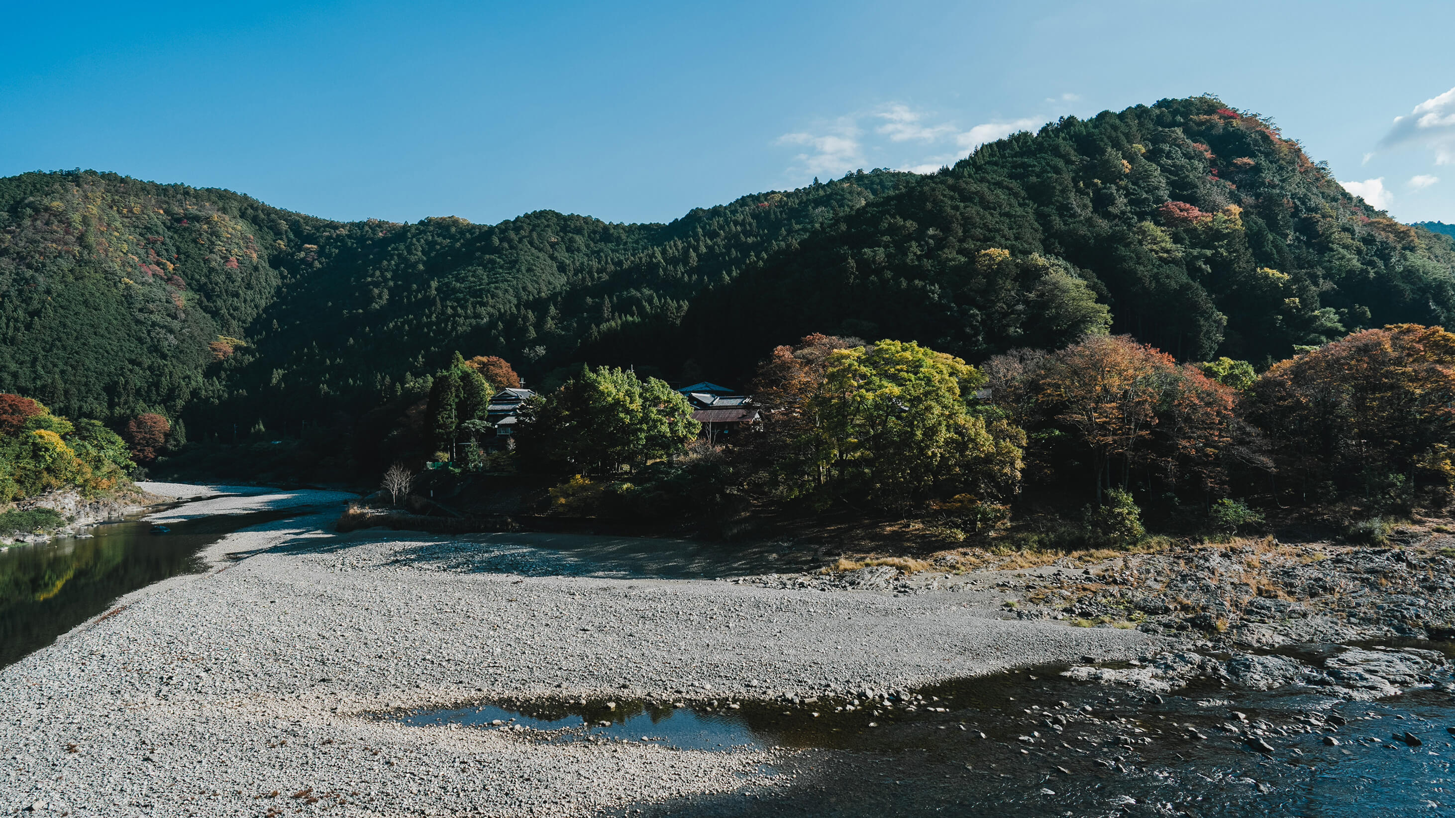 畑で手を動かす人の手元