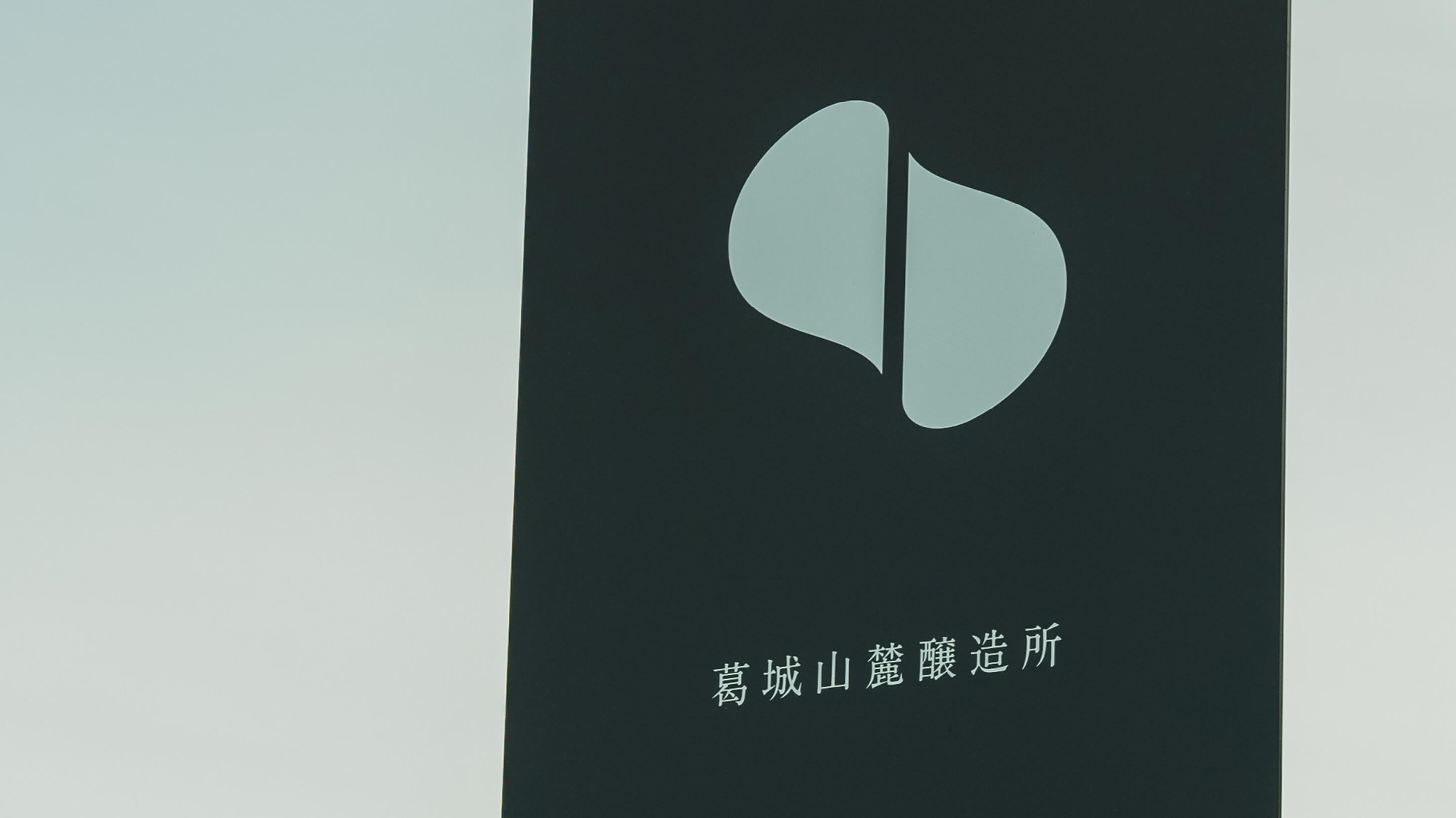 畑で手を動かす人の手元